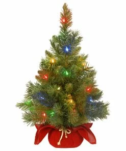 Hot Sale ๐ National Tree Company 24" Majestic Fir Tree With Battery Operated Multicolor LED Lights ๐