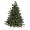 Budget 🔔 Northlight Seasonal 4.5' Pre-Lit Full Hunter Fir Artificial 🎁 Christmas Tree, Clear Lights ⭐