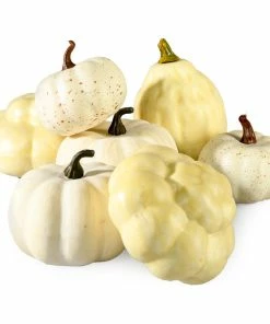 Discount 💯 Serene Spaces Living Assorted Harvest Pumpkins And Gourds, Available In 3 Option 🎁