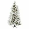 Hot Sale 😉 Fraser Hill Farm Flocked Snowy Pine 🔔 Christmas Tree, 9', Clear Led Lights 🥰