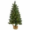 Best Pirce 🥰 Nearly Natural, Inc. 3' Fraser Fir Natural Look Artificial ❄ Christmas Tree With 50 Clear LED Lights 🔥