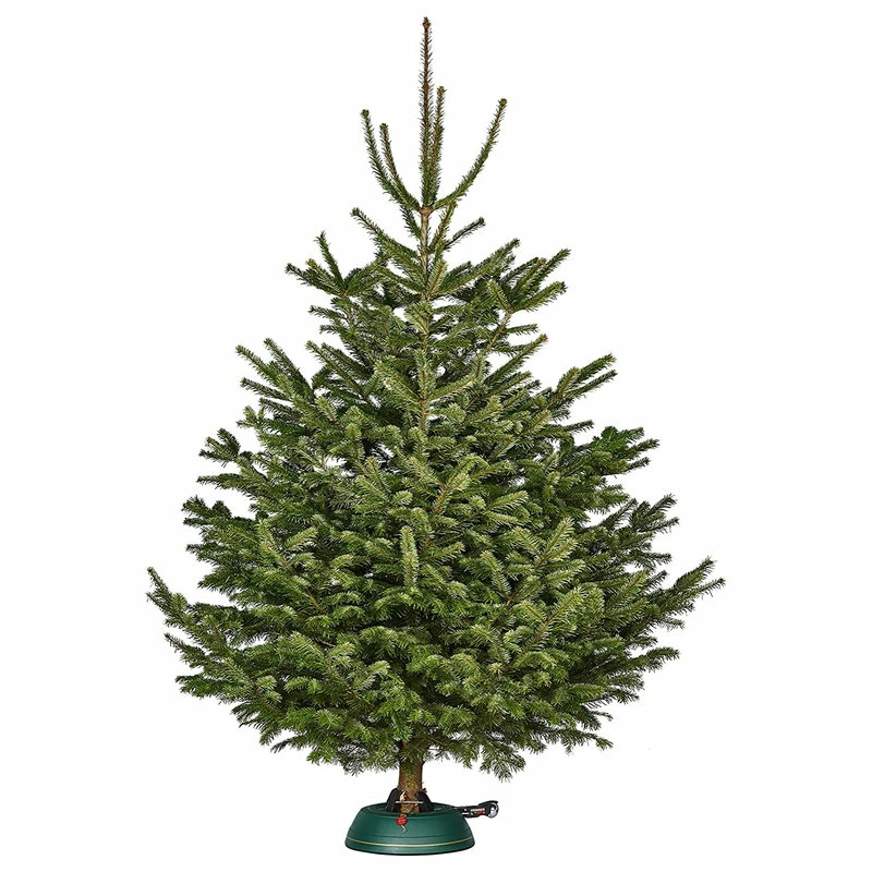 Top 10 👍 Krinner Tree Genie Medium 🔔 Christmas Tree Stand, Green 😀 - Image 4