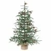 Best deal 😉 Vickerman Company Vickerman Carmel Pine Tree With Pine Cones And Burlap Base, 42" 😍