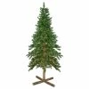 Discount 🔔 Northlight Seasonal 6.5" Pre-Lit Royal Alpine Artificial 🎄 Christmas Tree, Clear Lights 👍