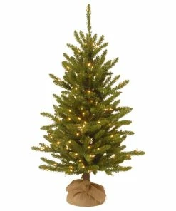 Best deal 😉 National Tree Company 4' Kensington Burlap Tree With 150 Clear Lights 🤩