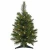 Flash Sale 🛒 Vickerman Company Vickerman 16"x24" Cashmere Pine Tree With Timer, Warm White LED Lights 👍