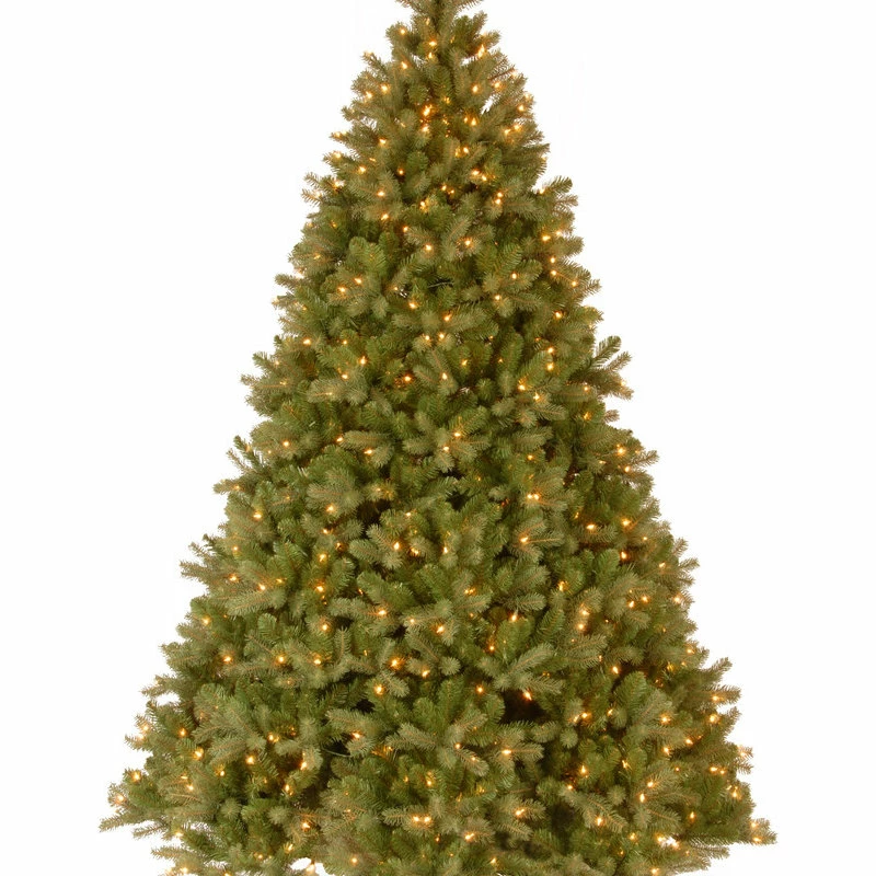 Best Sale ๐งจ National Tree Company 10' "Feel-Real" Downswept Douglas Hinged Tree With 1000 Clear Lights ๐ - Image 2