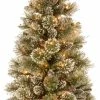 Best reviews of 🥰 National Tree Company 3 Feet Glittery Bristle Pine Tree With Battery Operated Warm White LED Lights 🌟