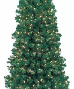 Buy 💯 Barcana Northern Cypress Tree, 7' 🛒