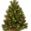 Best reviews of 🔔 National Tree Company 36" Pine Cone Tree With Battery Operated Warm White LED Lights 🧨