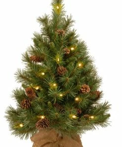 Best reviews of 🔔 National Tree Company 36" Pine Cone Tree With Battery Operated Warm White LED Lights 🧨