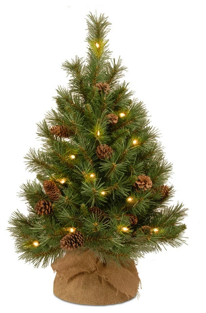 Best reviews of ๐ National Tree Company 36" Pine Cone Tree With Battery Operated Warm White LED Lights ๐งจ