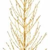 New 🤩 Vickerman Company 7' Gold Tree, LED 680 Warm White Flat Base 🤩